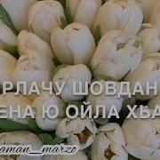 Румиса Никаева Дала Декъал Йойла Хьо