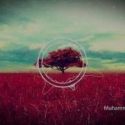 Мухамммад Юсуфни Эслаб Азалбегим Шерлари