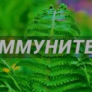 Саблиминал Иммунная Система
