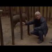 У Как Он Съебался