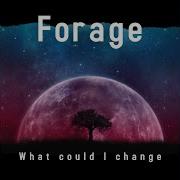 What Could I Change Forage