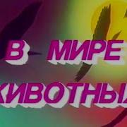 Песня Мир Животных