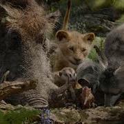 Hakuna Matata We Love Disney