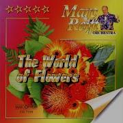 Daisy Tango Marc Reift Orchestra Marc Reift