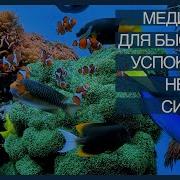 Андрей Ракицкий Синяя Медитация Избавление От Тревог Переживаний Беспокойства Оздоровление Сон