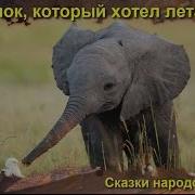 Слоненок Который Хотел Летать Аудиосказка Для Детей