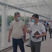 Иссиқхона Даромад Манбаи