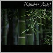 Breath Bamboo Forest Stephane Dureisseix Yann Henaff Stephane Dureisseix Yann Henaff