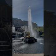 Можно Я С Тобой