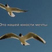 Ярослав Сумишевский Татьяна Тураева