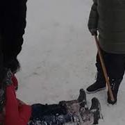Как Пьяную Донести До Дома