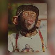 Frozy Kompa Prod Ideal Tiktok Original Full Extended Version 𝗦𝗢𝗟𝗗 Ideal