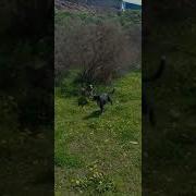Приезжайте К Нам Повеселиться