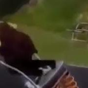 5Минут Полёт Нормальный