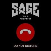 Do Not Disturb Sage The Gemini