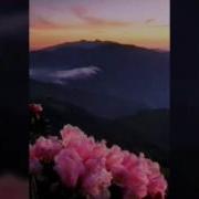 Гурухи Худжанд