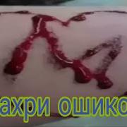 Шеьри Ошики Бахри Ошикон