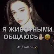 Базару Нет Ты Тигр Но Я С Животными Не Общаюсь