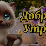 Доброе Утро Позитивное Пожелание С Добрым Утром
