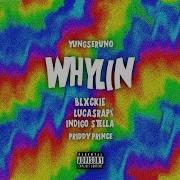 Yungseruno Whylin Feat Blxckie Lucasraps Indigo Stella Priddy Prince Official Visualizer Yungseruno