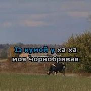 Варенички Караоке Гурт Експрес