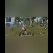 Cibis Boyun Yerə Soxmaqa