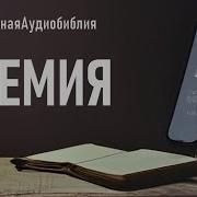Книга Неемии Читаем Библию Вместе Уникальная Аудиобиблия