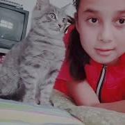Ti Maya Puscka