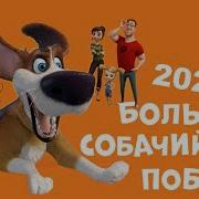 Большой Собачий Побег