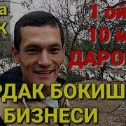 Узбда Урдак Бокиш Бизнеси Ойига 10 Млн Даромад
