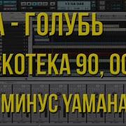 Синтезатор Минус Одинокий Голубь На Карнизе За Окном