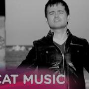 Cat Music Laurentiu Duta