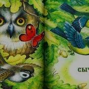 Сыч Николай Сладков Аудио Сказка Аудиосказки Сказки На Ночь Слушать