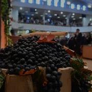 Проповедь На Празднике Жатвы