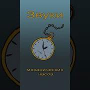 Фоновые Звуки Предсказание