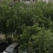Летний Ветерок