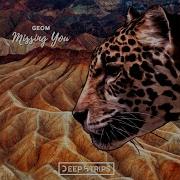 Geom Missing You