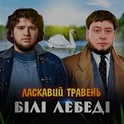 Білі Лебеді Веремко