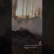 Туулган Жердин Топурагы Алтын