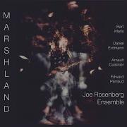 Marshland 3 Joe Rosenberg Ensemble