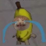 Banana Cat Crying Meme Template Sound Effect