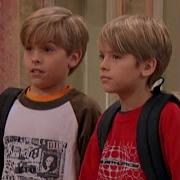 Zack And Cody Bigtreesteve
