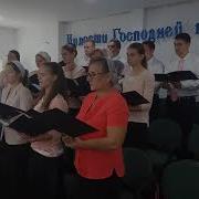 Жатва Это День Благодарения