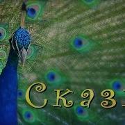 Сказка Детская Песня Сказка Клип Удивительная Природа