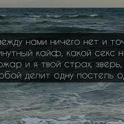 А Между Нами Ничего Нет И Точка Текст