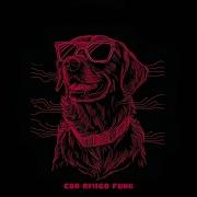 Cão Amigo Funk Dj Juan