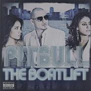 Go Girl Pitbull Speed Up