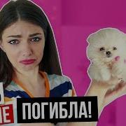Песня Кошечки Баттерсы Собачки Элис Вика Близ