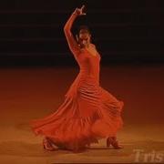 Amazing Flamenko Performance