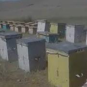 Балчылык Жумакадыр